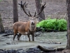 AFP/SCANPIX