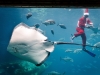 TOPSHOT-SAFRICA-CHRISTMAS-AQUARIUM-FEATURE