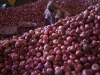 INDIA-ONION/PRICES