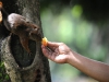 AFP/SCANPIX