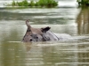 AFP/SCANPIX