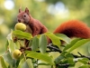 AFP/SCANPIX