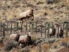 AFP/SCANPIX