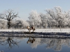 REUTERS/SCANPIX