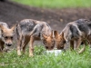 AFP/SCANPIX